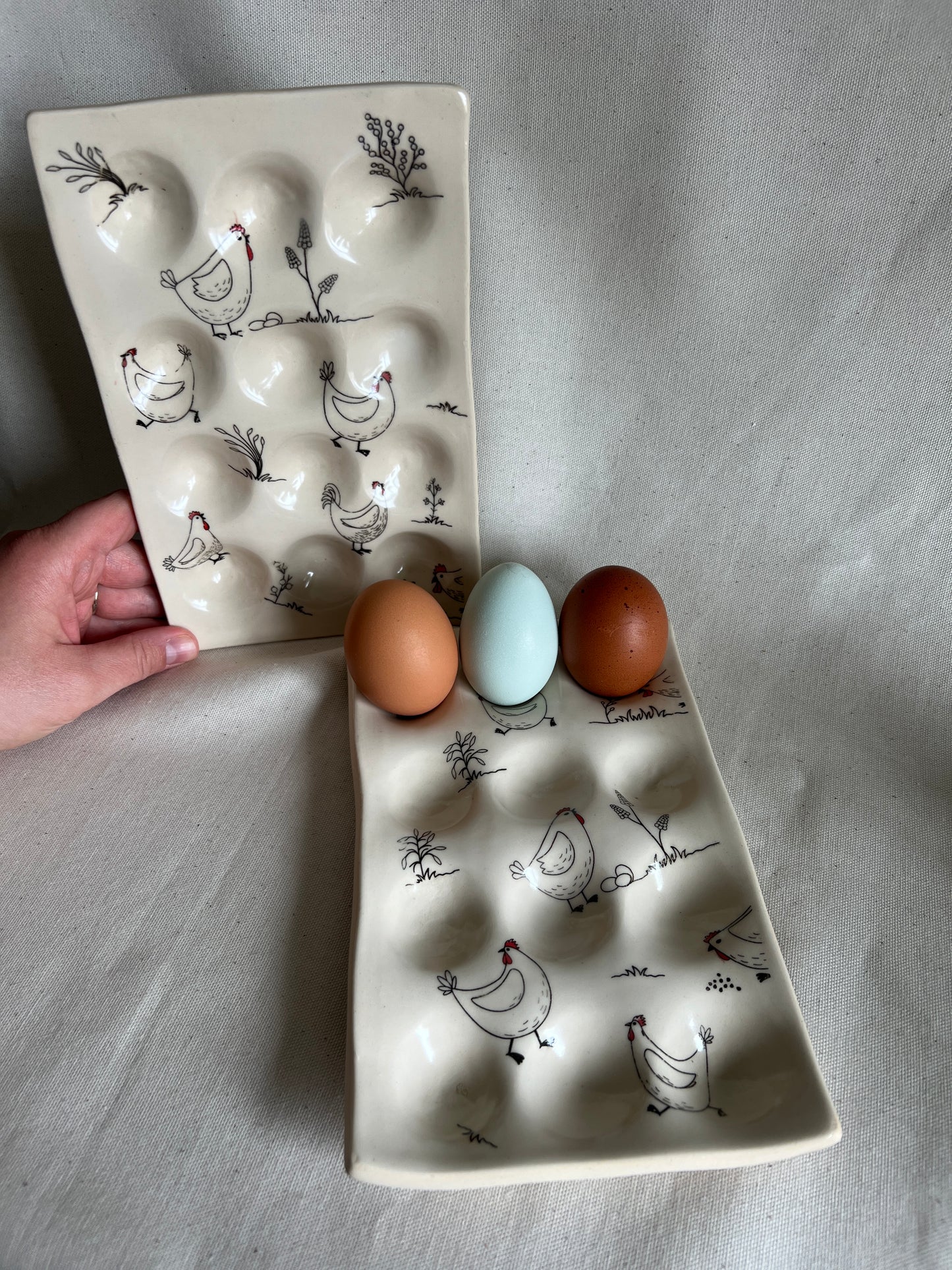 Chicken Egg Trays (12 eggs)
