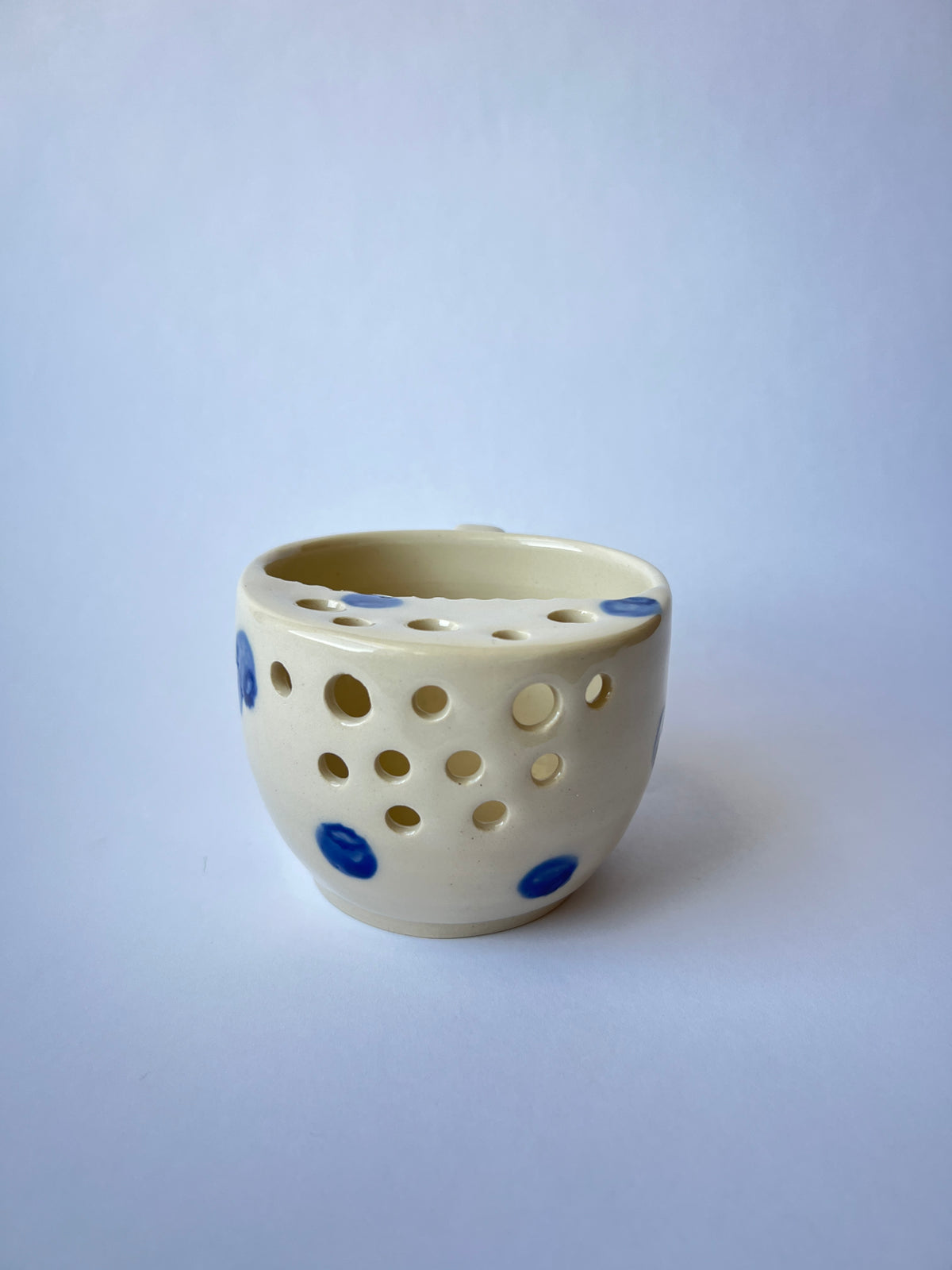 Blueberry Berry Mug