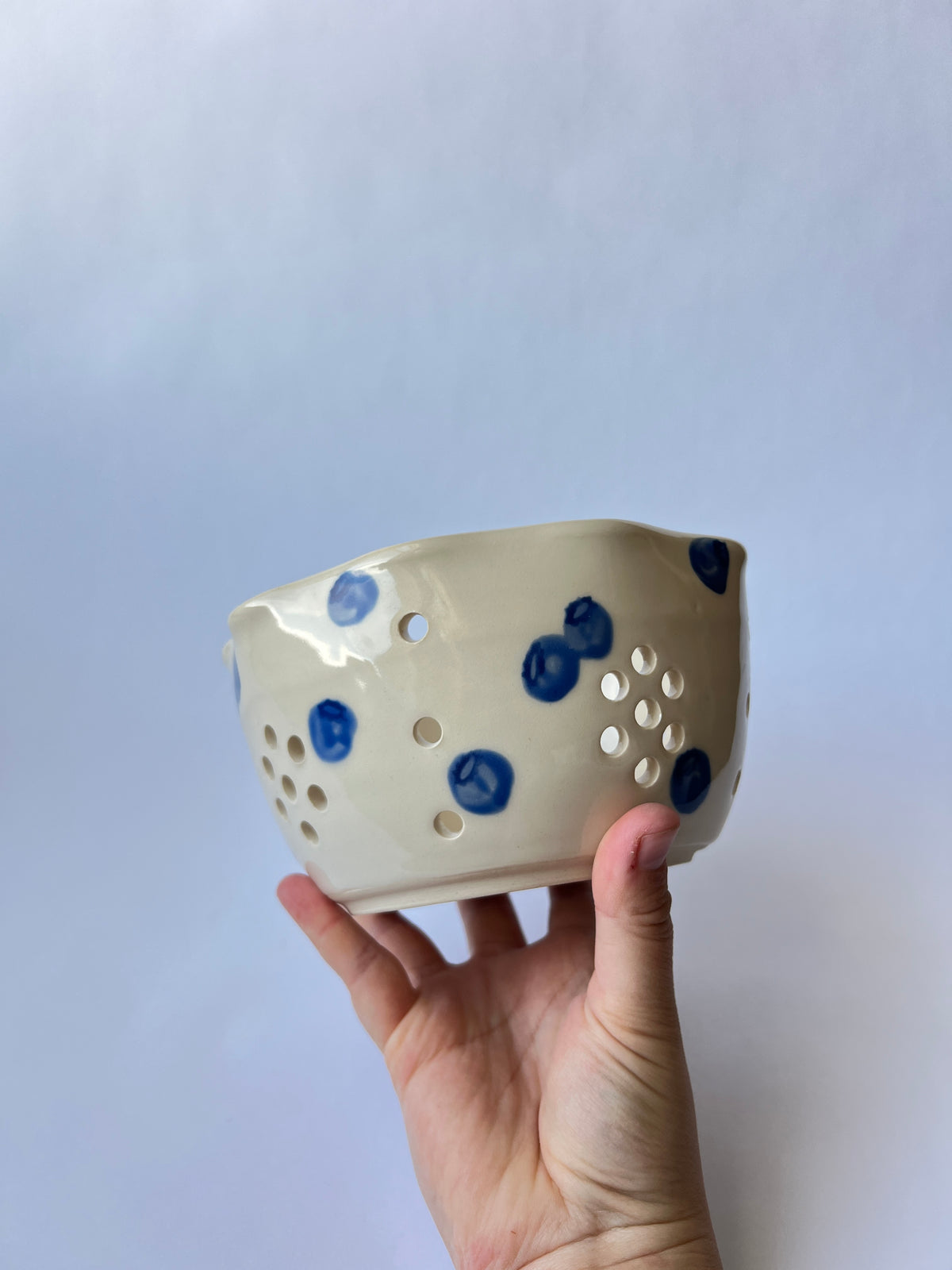 Blueberry Berry Bowl