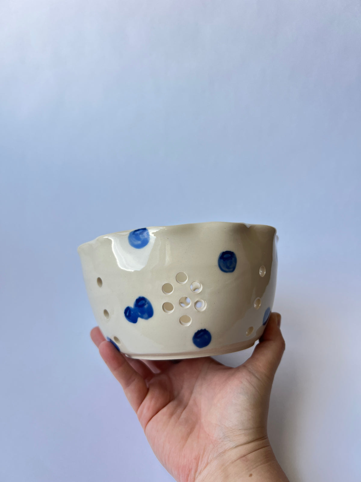 Blueberry Berry Bowl