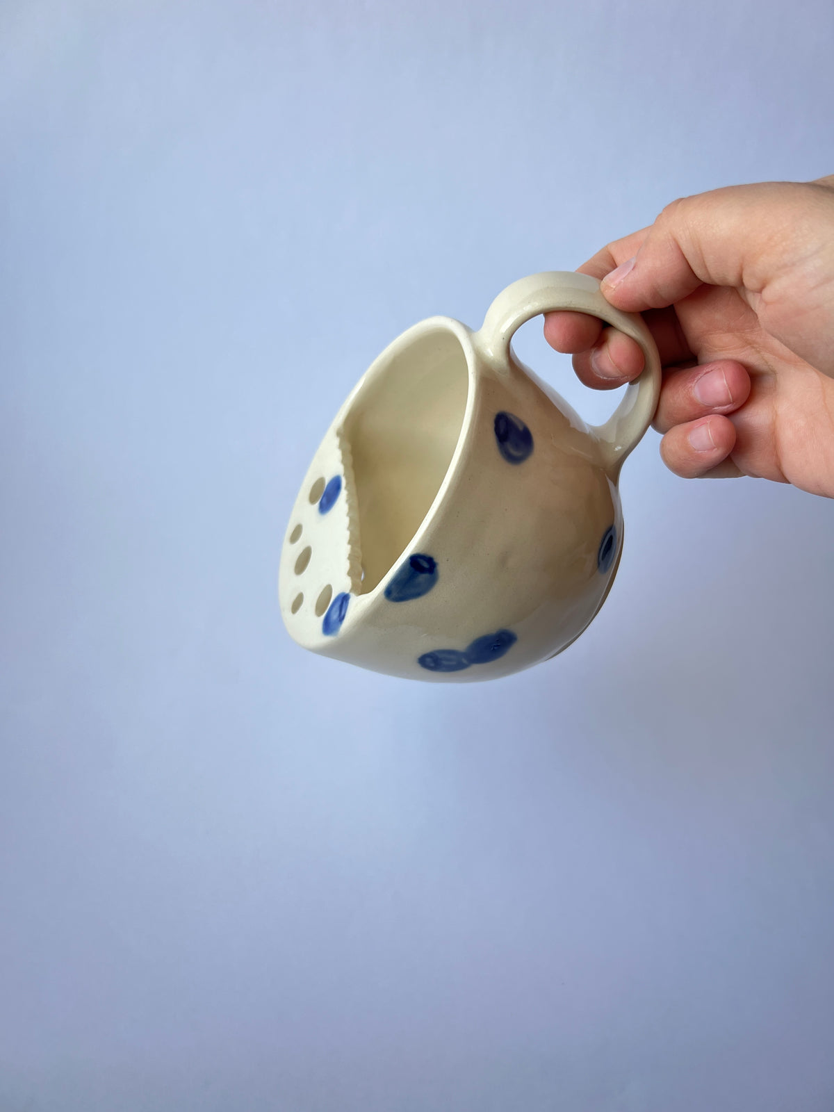 Blueberry Berry Mug