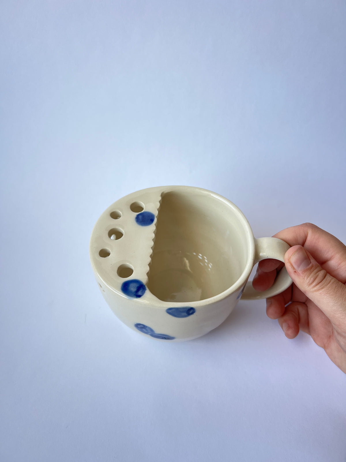 Blueberry Berry Mug